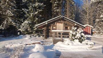 Фото номера Шале с двумя спальнями Шале Villa Kivikoski г. Pyhtaa 98